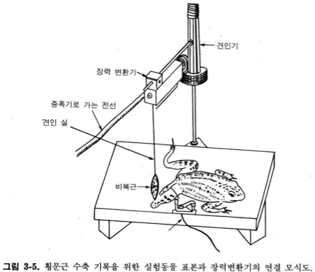 개구리 근육 준비
